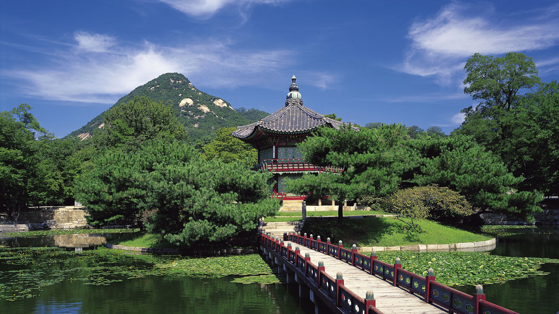 _体育直播新体验:沉浸式虚拟实境观看_,虚拟体育赛事