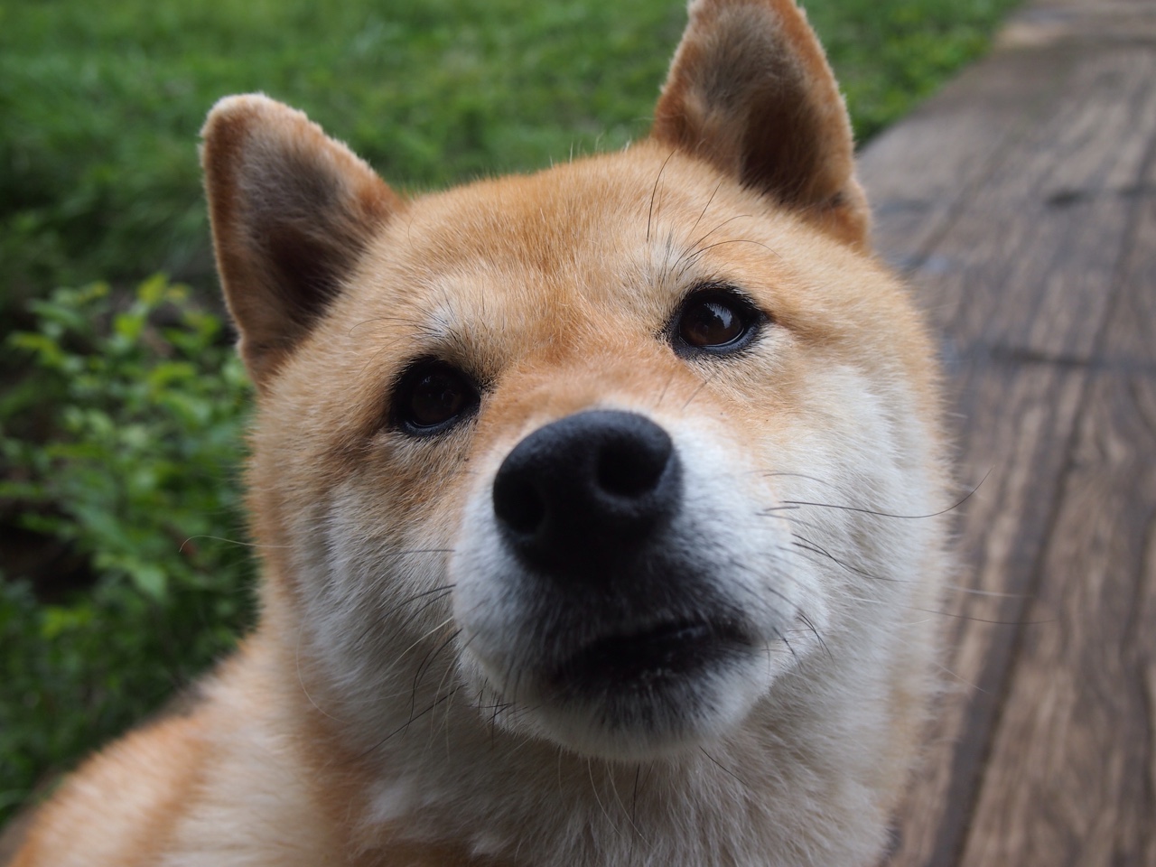 “策略之战:幕后布控的智慧交锋”,策略之家