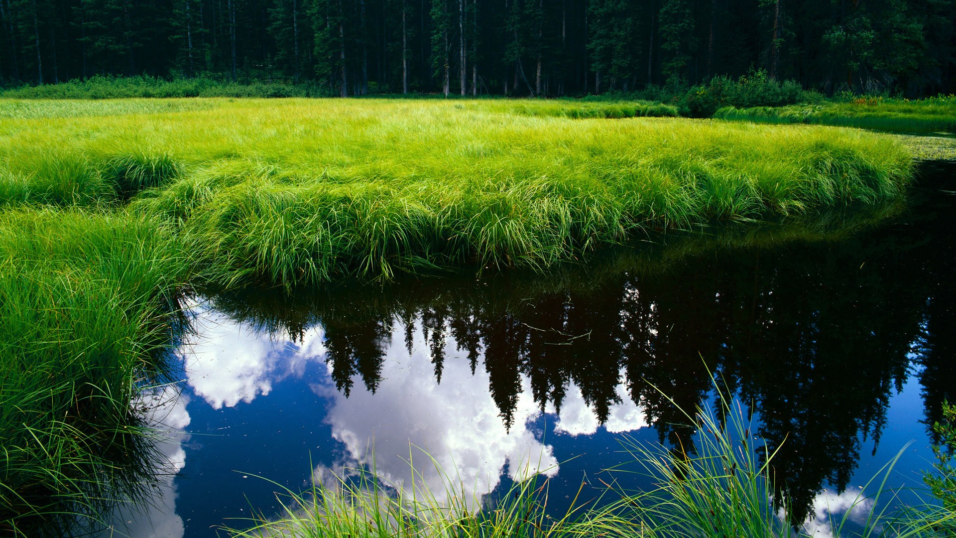 中超转播权大动作,海外市场全面展开,中超转播权 80亿