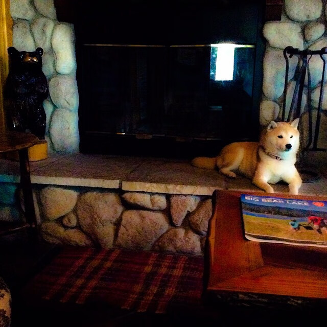 乐鱼娱乐app-全国青少年篮球训练营全面升级，打造未来体育新星，青少年篮球培训中心