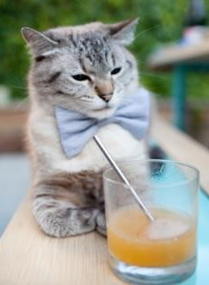 全国青少年篮球训练营开启新一轮招生,打造未来之星,青少年篮球培训中心