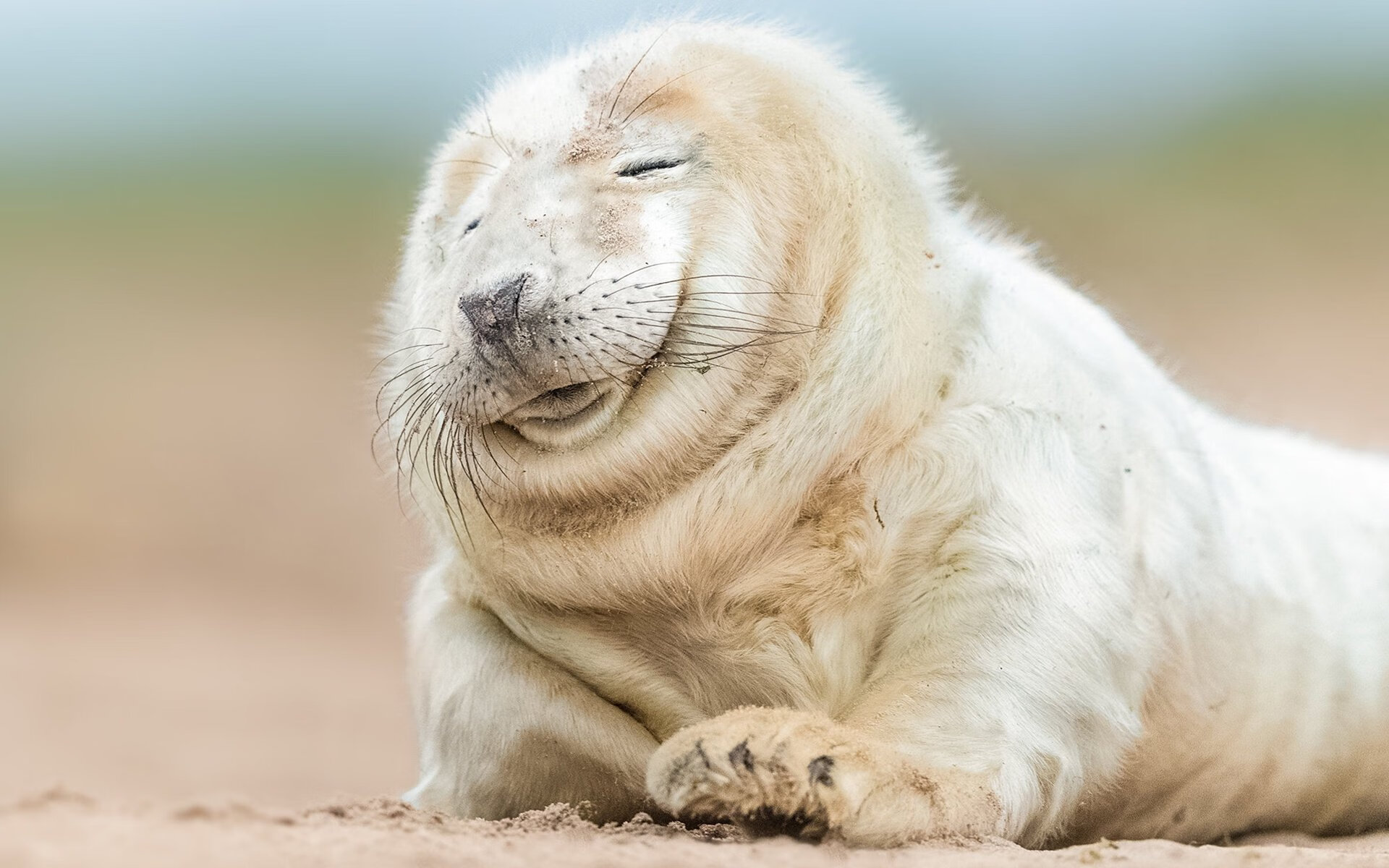 史上最震撼的“绝杀”合集:哪一球让你热血沸腾?,绝杀集锦