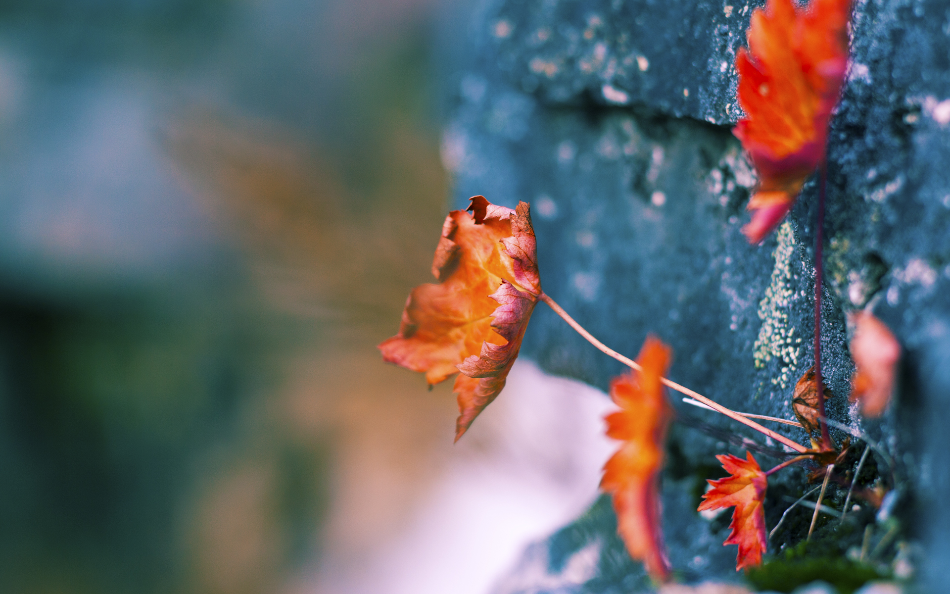 乐鱼app-史上最震撼的“逆转奇迹”，你还记得哪场？，逆转2021