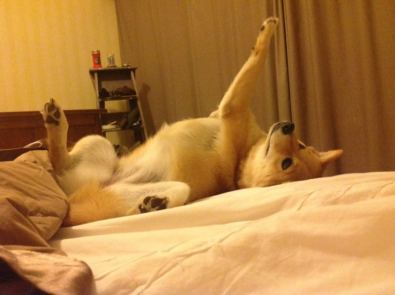 比赛中令人印象深刻的战术变化,比赛中运用战术的表现的基本形式