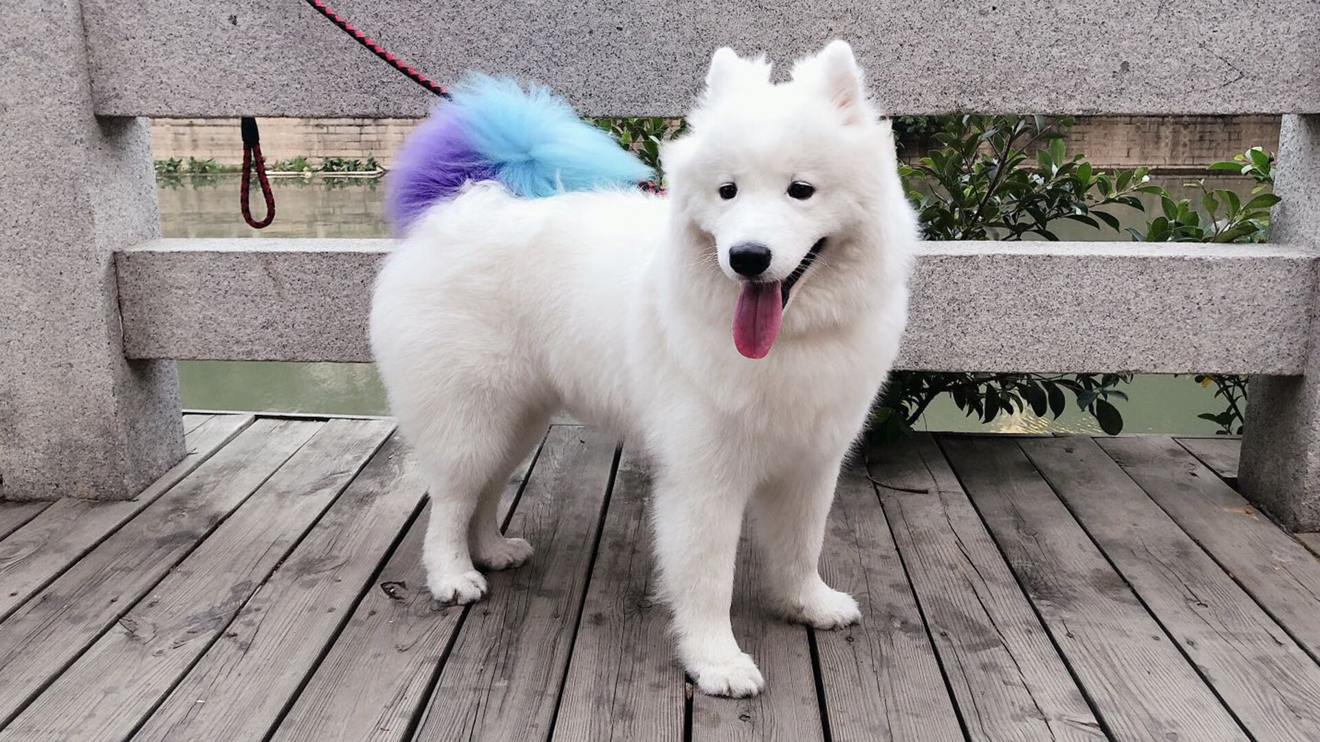 绿色赛场建设：打造零碳排放的F1赛事，3大赛区26个场馆将使用绿色电能