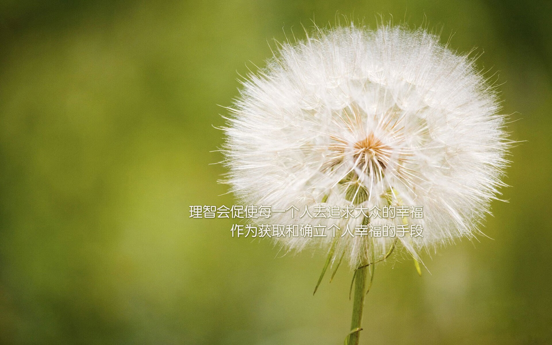 LEYU乐鱼体育官方网站-世界女足大赛绽放光芒，中外球员齐聚一堂，世界女足比赛视频回播