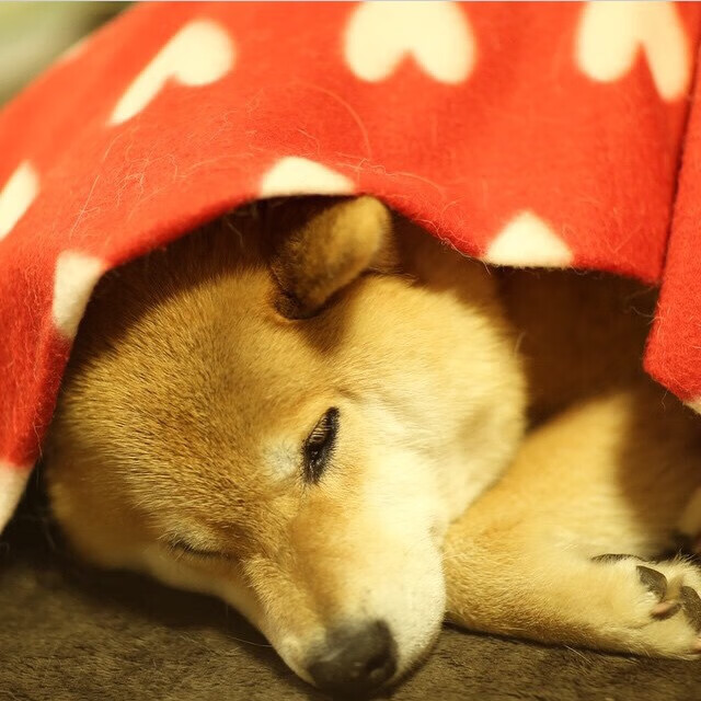 内马尔加盟利雅得新月引发热潮,内马尔加盟皇马达成协议