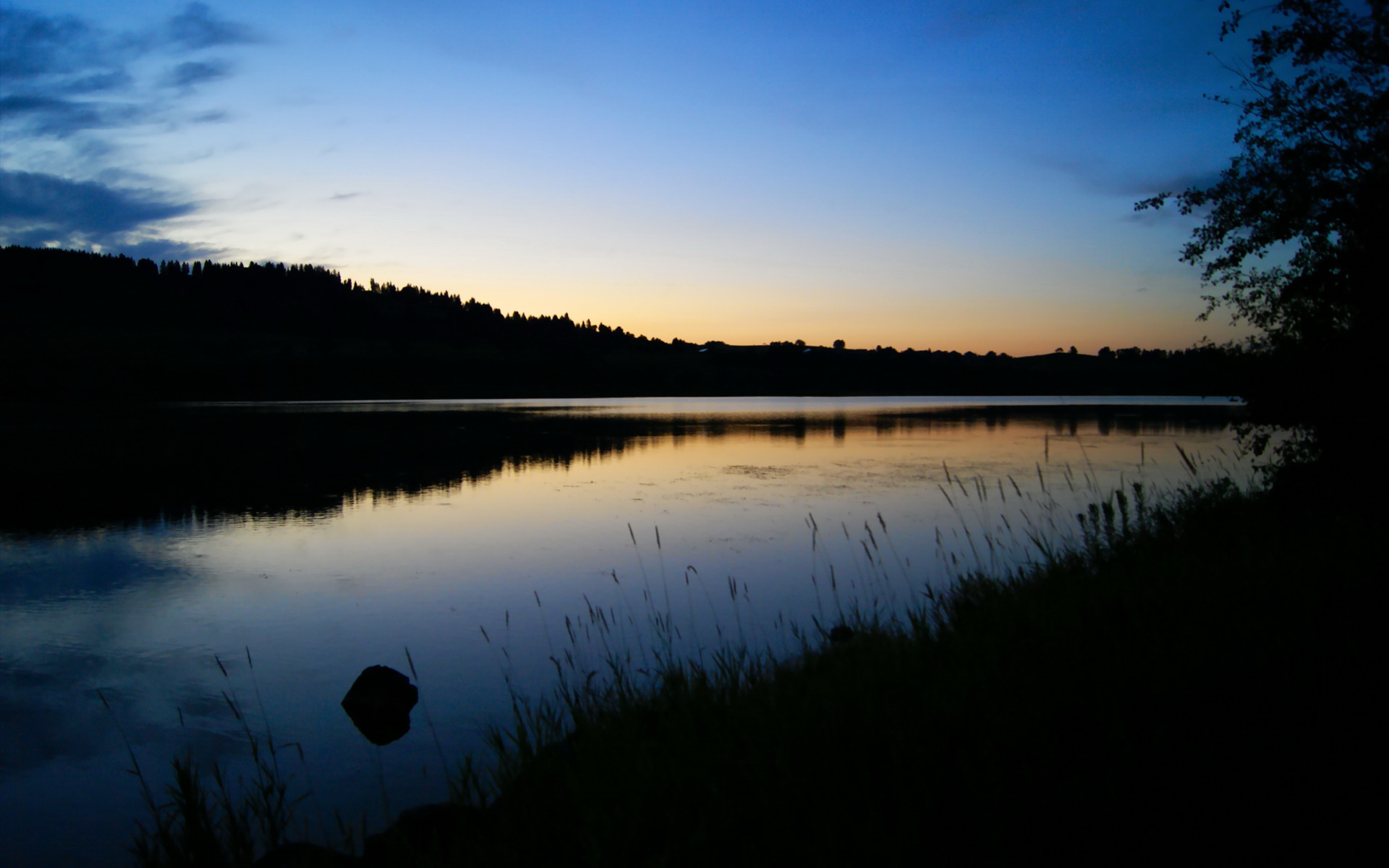 乐鱼电竞在线平台-冠军展示：辽宁战队力挫强敌夺魁，辽宁队战术
