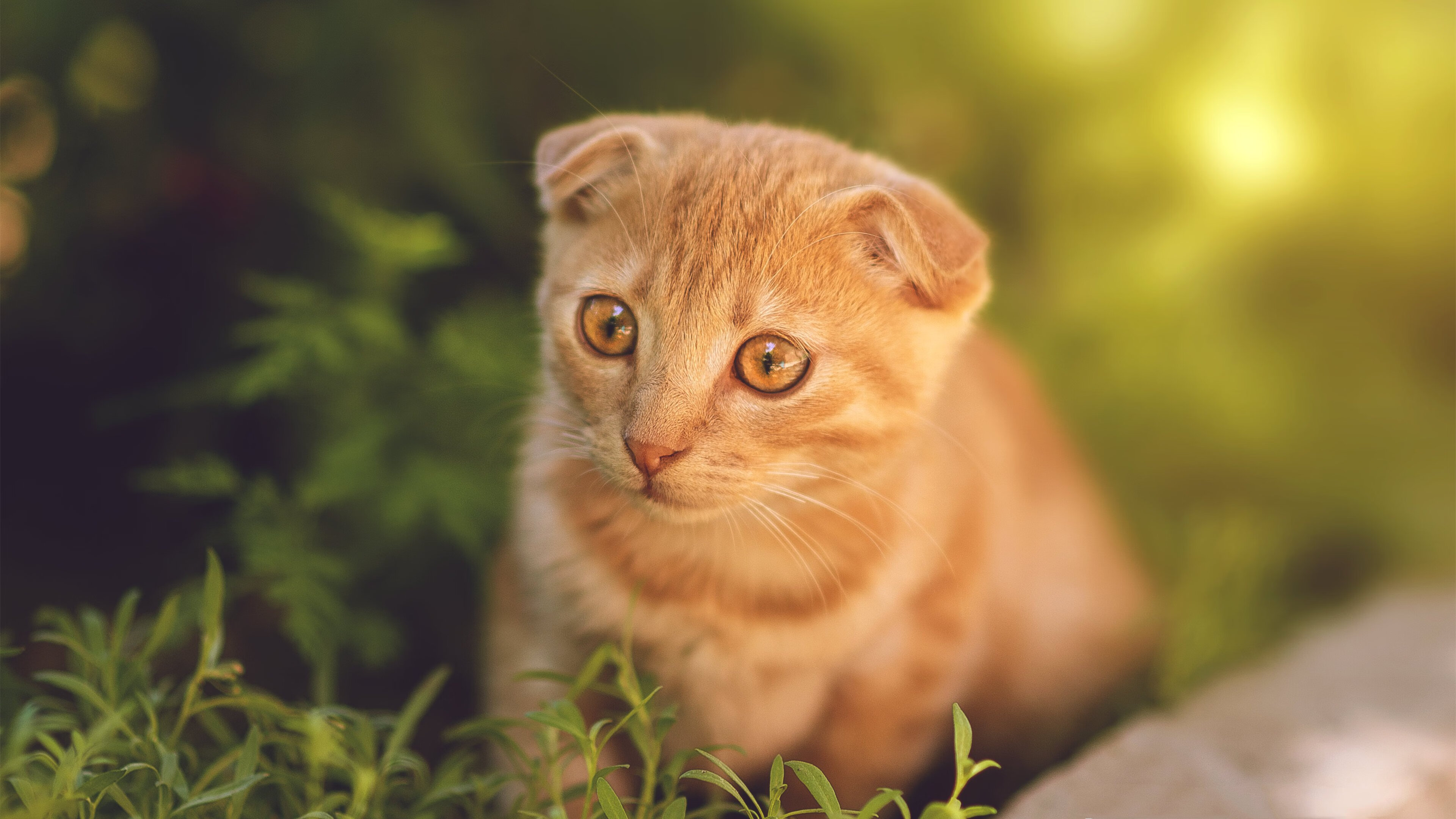 乐鱼体育登录-国足世界杯表现亮眼，喜获好成绩，国足世界杯期间