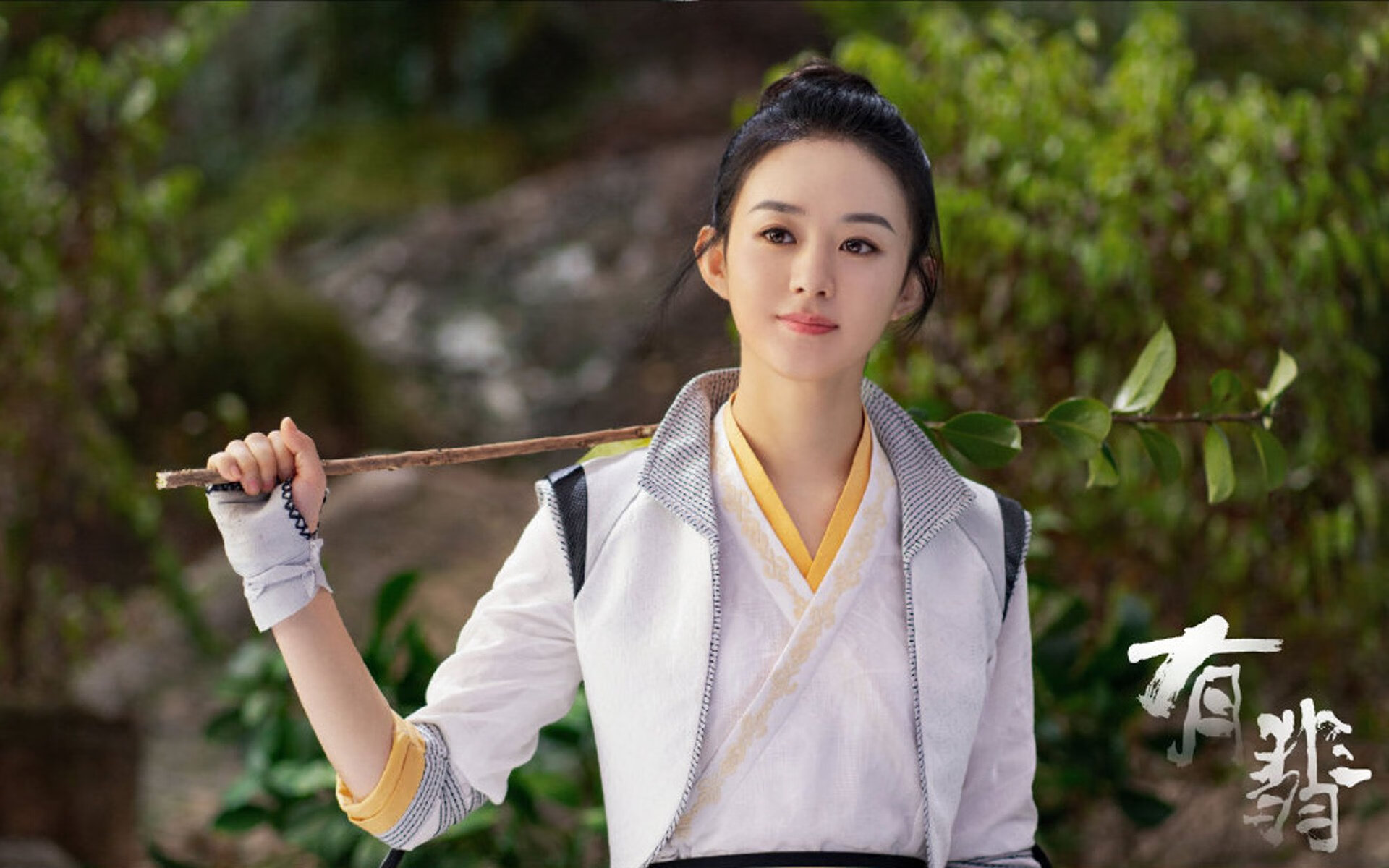 欧洲杯赛场上出现惊险一幕,球队全力争胜,欧洲杯赛场突发意外