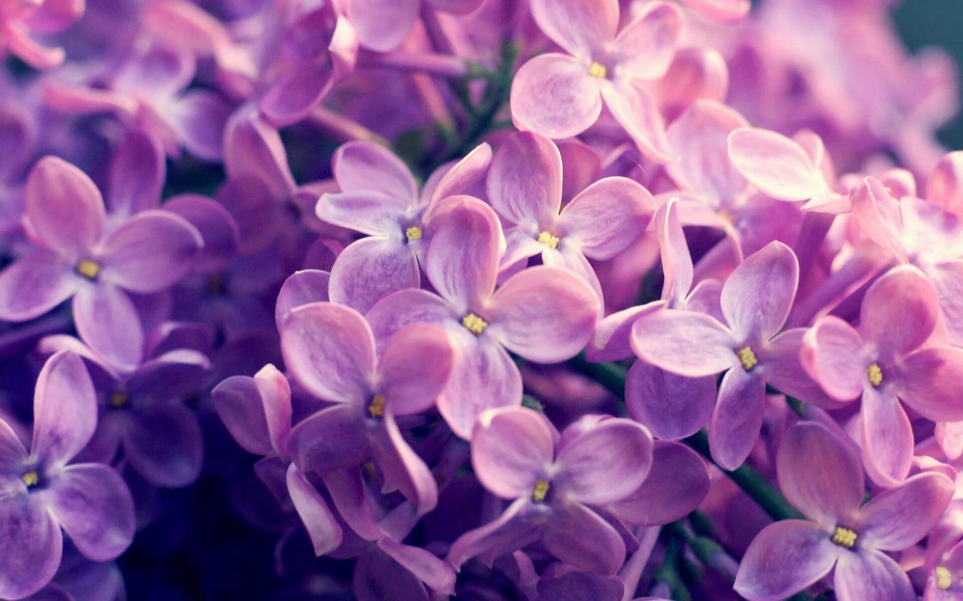 乐鱼电竞在线平台登录入口-青年新锐挑战老牌劲旅，机会与挑战并存，新青年迎接挑战