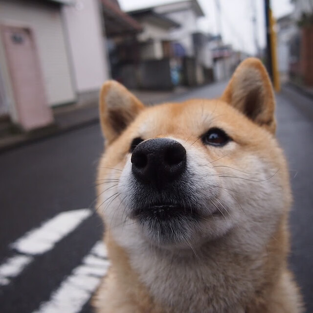 LeyuSports-英超裁判吹罚标准演变对犯规判定的影响分析，足球吹裁判是什么意思