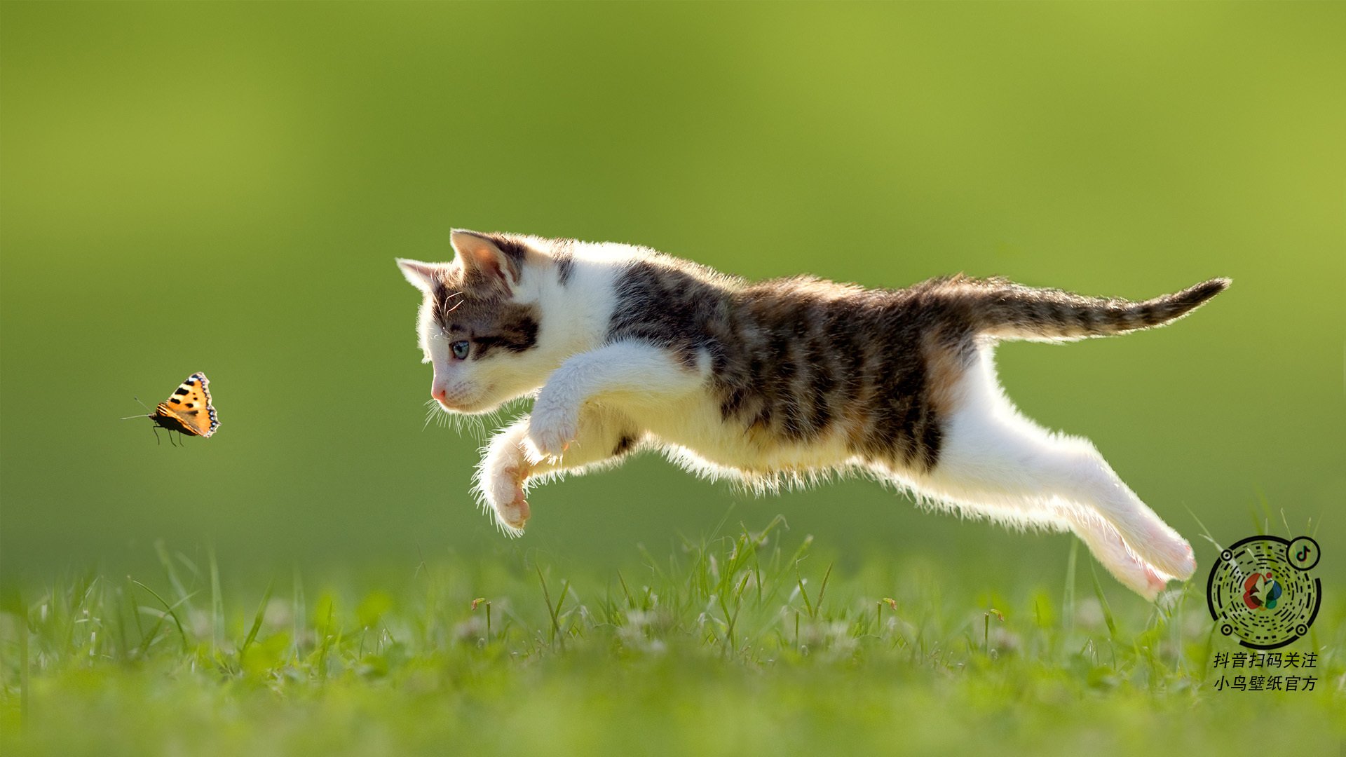 leyu乐鱼体育综合-“阿仙奴攻势强劲，热刺能否挡住？”