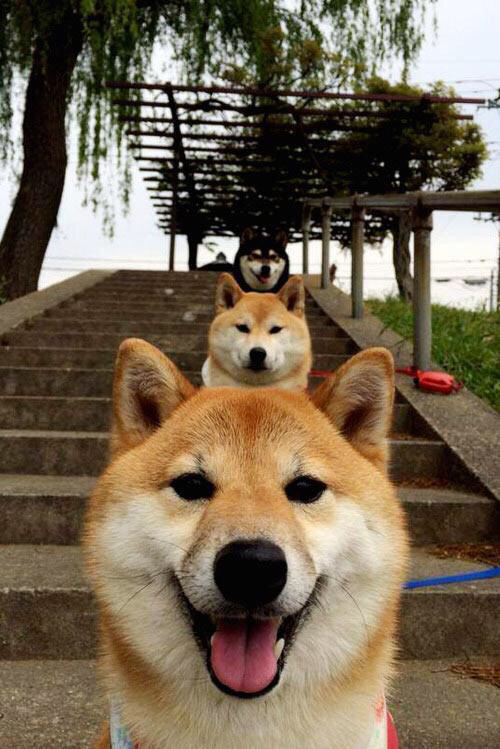 马洛卡整体阵型压缩削弱对方渗透,马洛卡升级