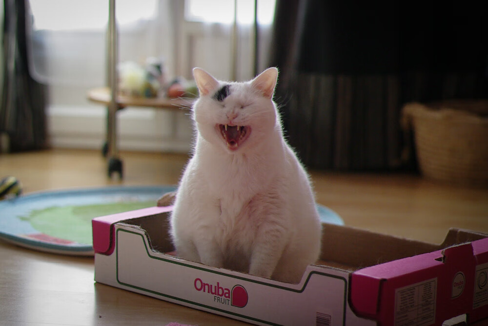 女篮训练加入模仿战术演练提高技术执行效率,女篮训练方法视频