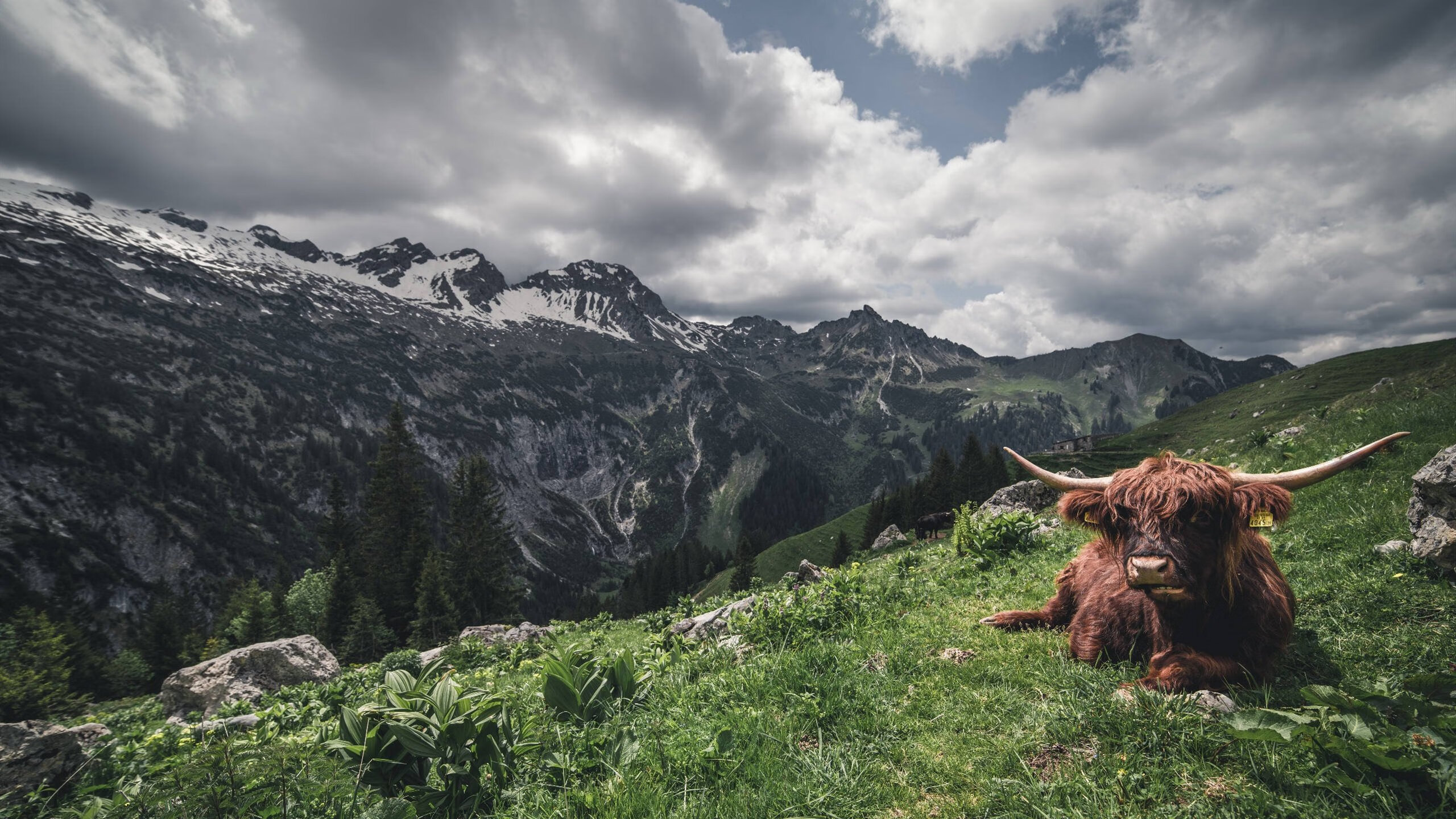 篮球运动纳入乡村振兴规划推动全民健身，乡村振兴篮球赛