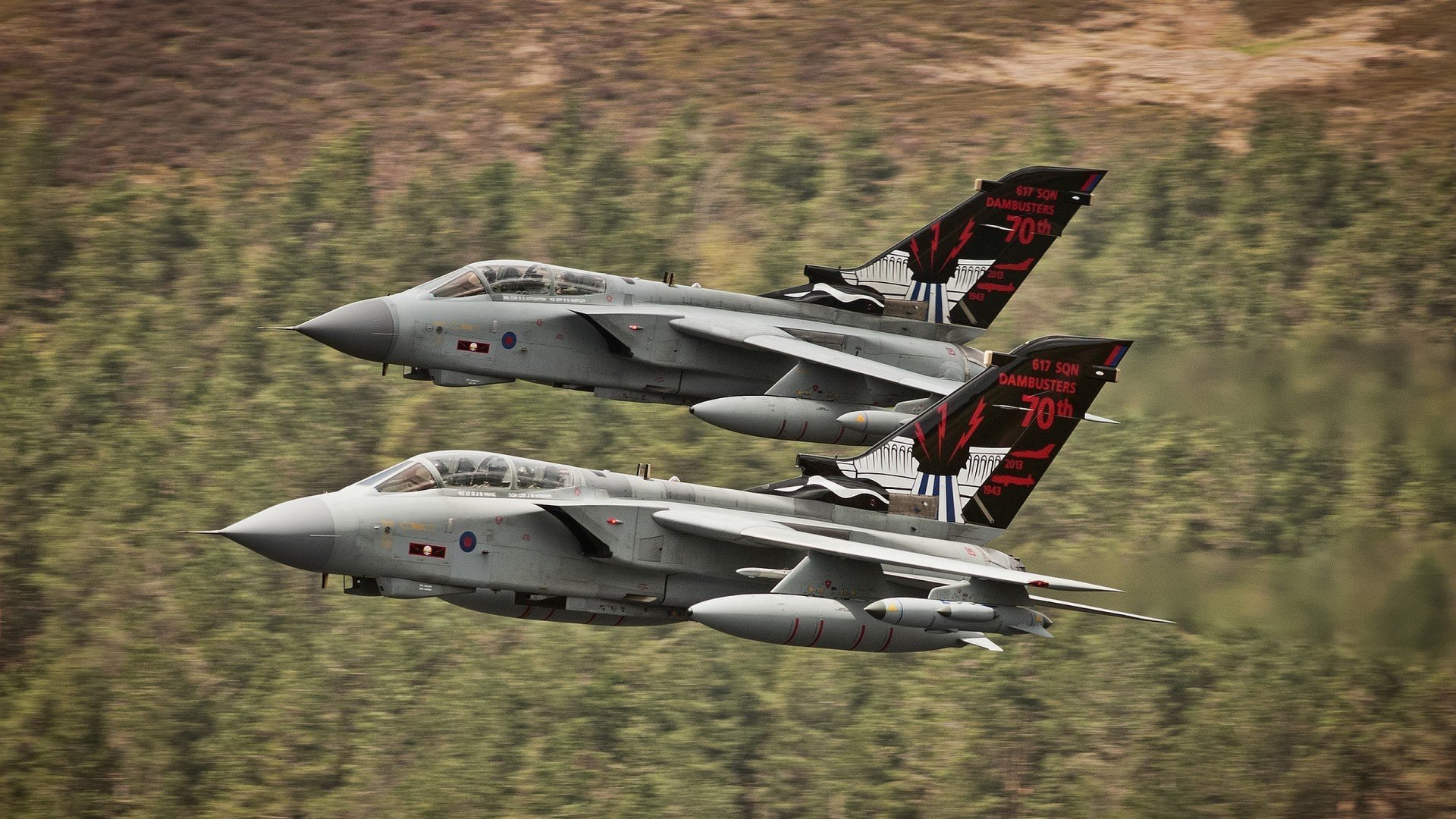 贝尔哈德·福特：全黑队进攻中不可或缺的战术支柱，贝尔福特vs霍利菲尔德