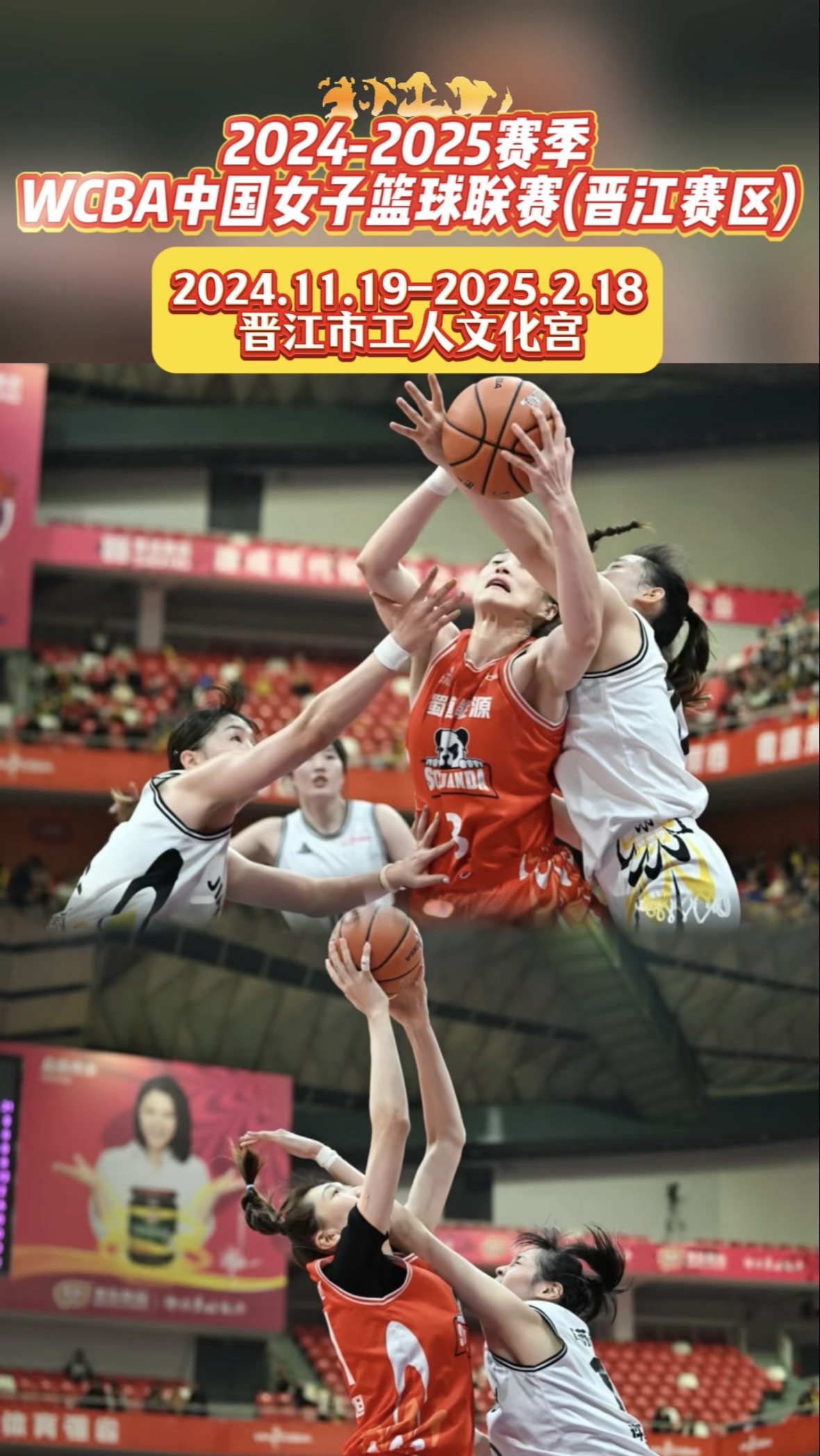 "CBA女篮的产业化之路：挑战与探索"的简单介绍