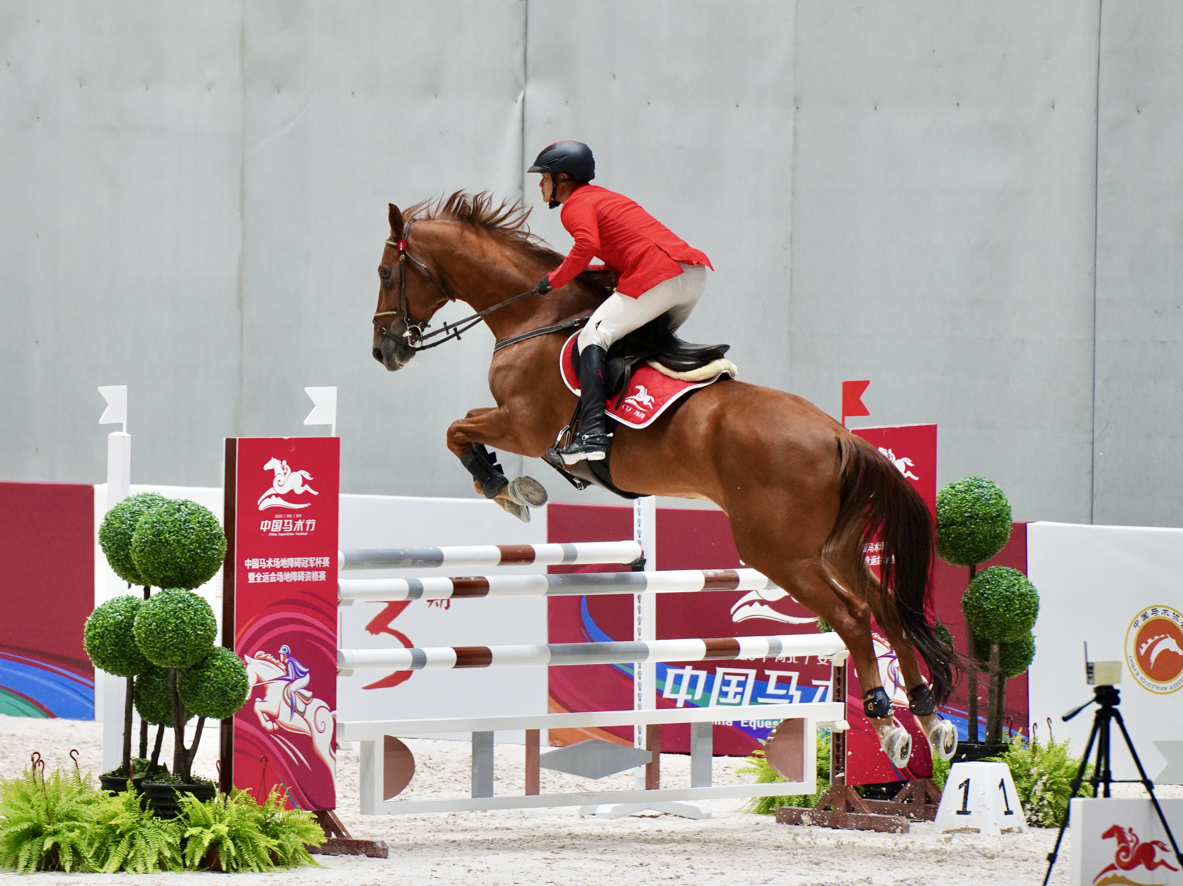 "马术障碍赛：优雅与技巧的精彩结合"