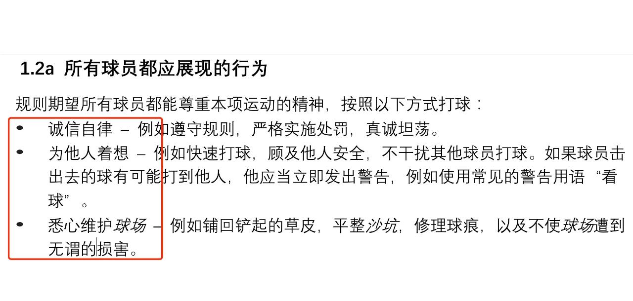 "职业联赛的责任：培养球员的社会观"的简单介绍